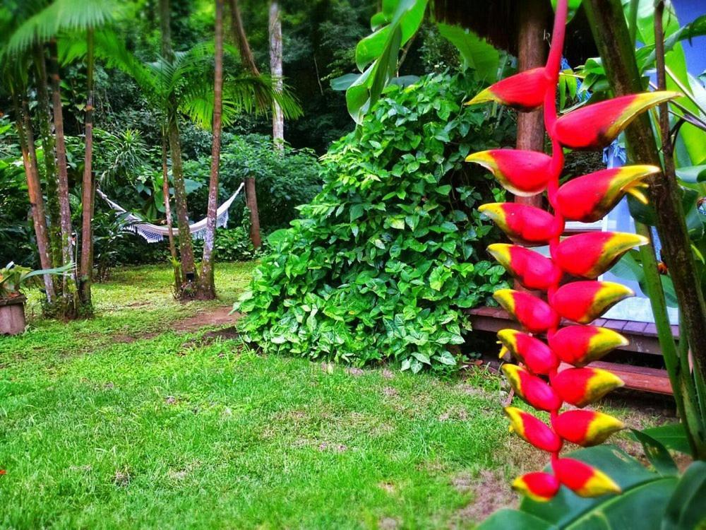 Sumatra Ecolodge Sao Sebastiao  Exterior photo